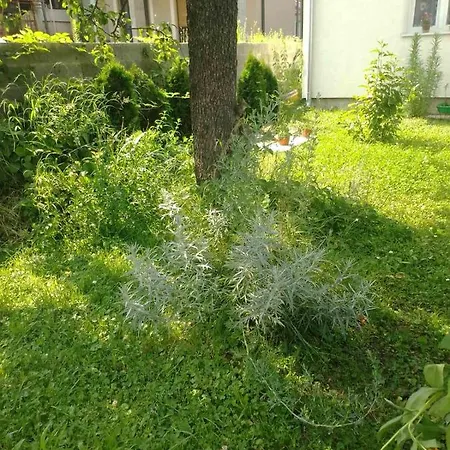 Apartment Apartman Sladjana Vrnjacka Banja